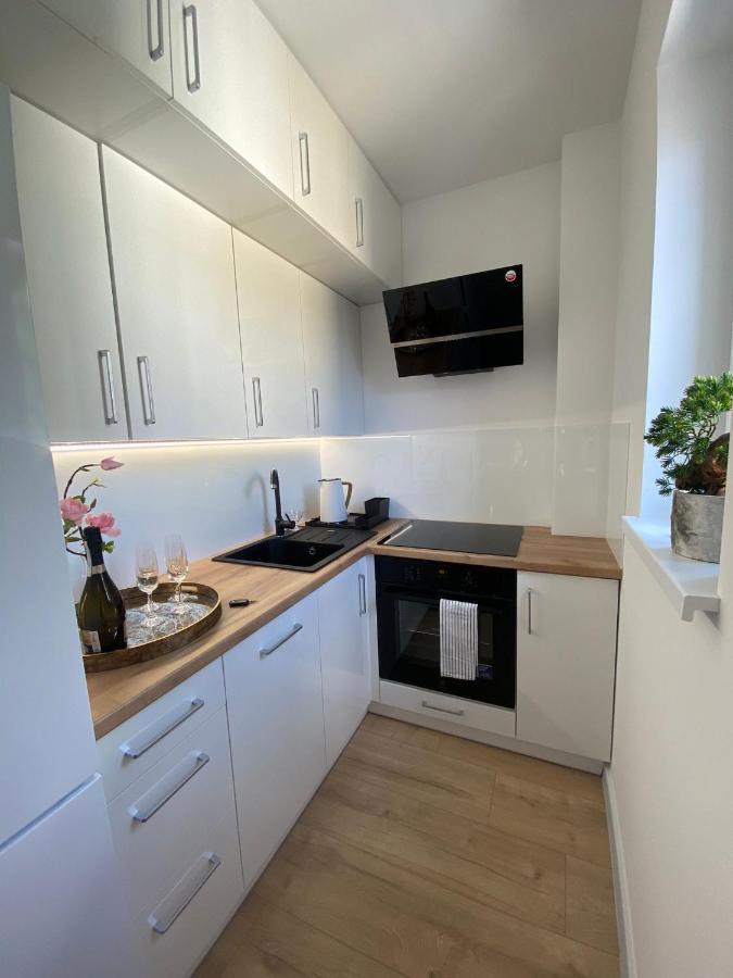 Apartament Serbanska 1/3 Przemysl Luaran gambar